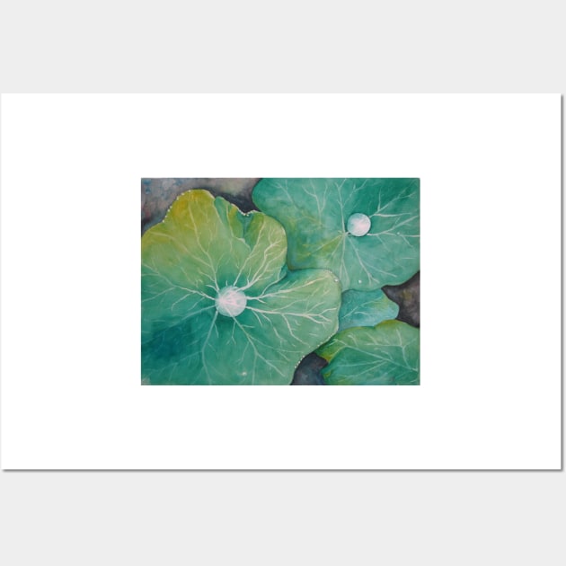 In Rosemary's Garden - Nasturtium Leaf with Dew Drops Wall Art by Heatherian